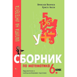 Магията на интелекта: Сборник по математика за 6. клас - ЗИП и СИП
