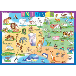 Freeway: Табло по английски език №3 за 2. клас - Animals