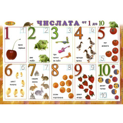 Двустранно табло по математика  Числата от 1 до 10 - Да поиграем с числата