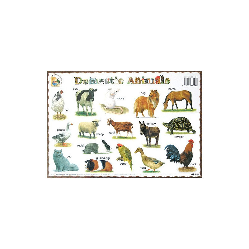 Domestic animals: учебно табло на английски език