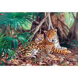 Jaguars in the jungle
