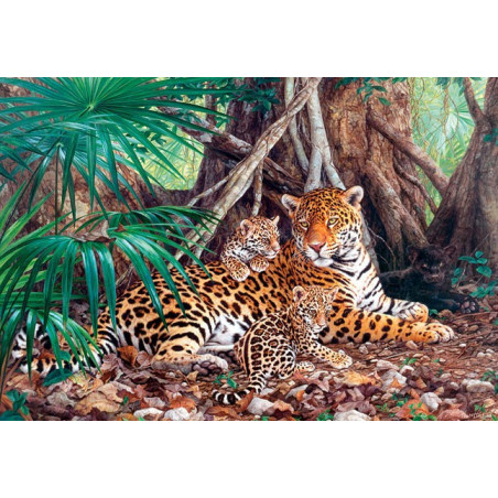 Jaguars in the jungle