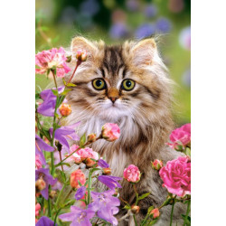 Furry softness