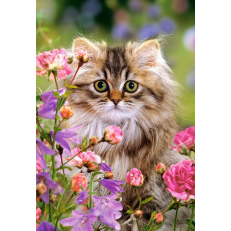 Furry softness