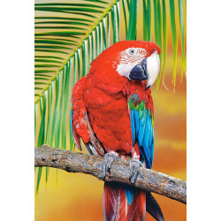 Green-Winged Macaw
