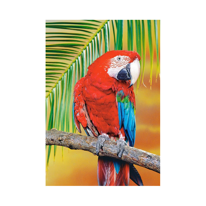 Green-Winged Macaw