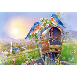 Birds and Mailbox