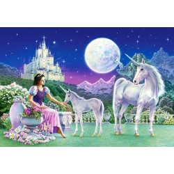 Unicorn Princess