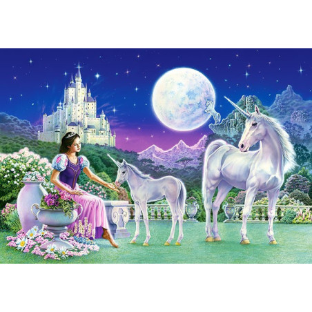 Unicorn Princess