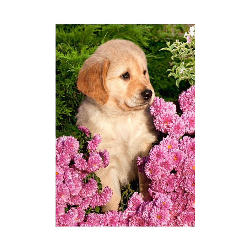 Little Retriever