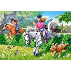 Horse Jumping