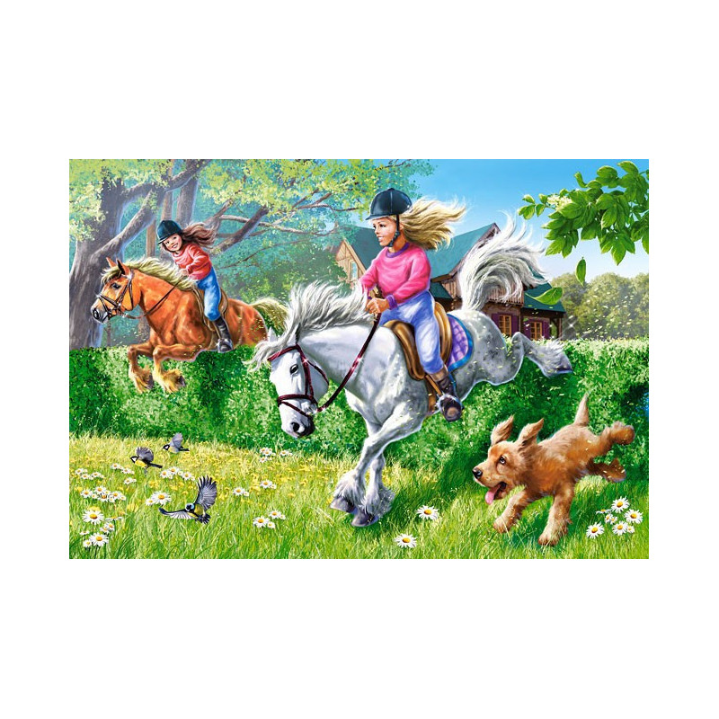 Horse Jumping