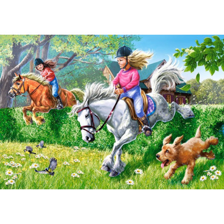 Horse Jumping