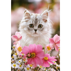 Made of Fur
