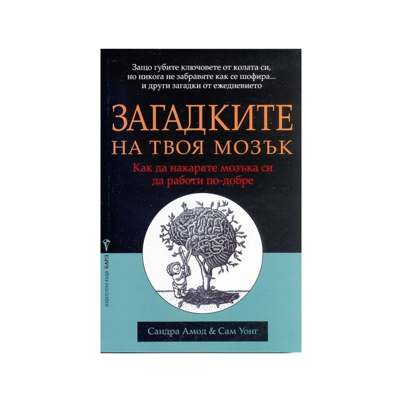 Загадките на твоя мозък
