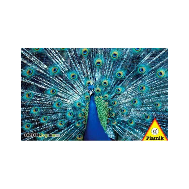 Peacock
