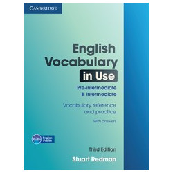 English Vocabulary in Use: Pre-intermediate and Intermediate: Third Edition + CD 