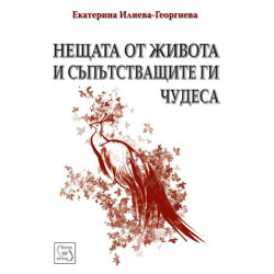 Нещата от живота и съпътстващите ги чудеса