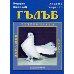 Гълъб