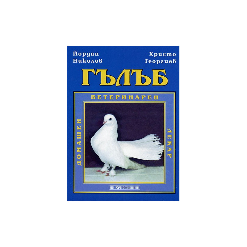 Гълъб