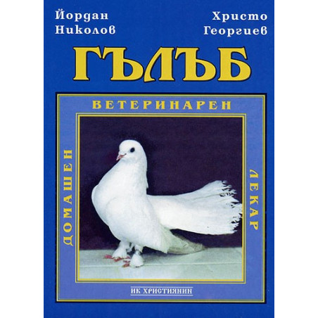 Гълъб