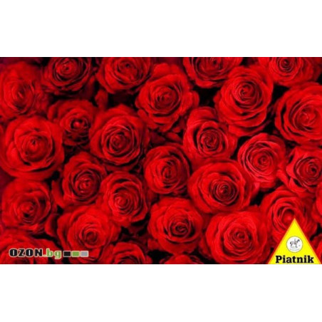 Red Roses
