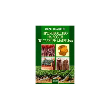 Производство на лозов посадъчен материал