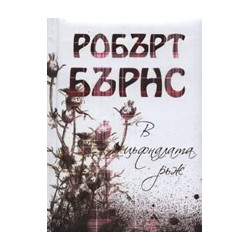 В цъфналата ръж 