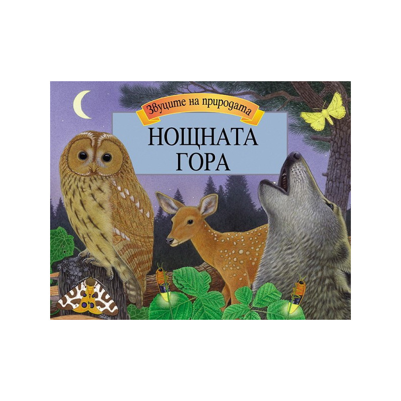 Нощната гора - панорамна книга със звуци