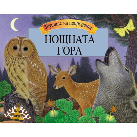Нощната гора - панорамна книга със звуци