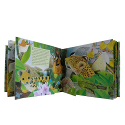 Горите около екватора - панорамна книга със звуци