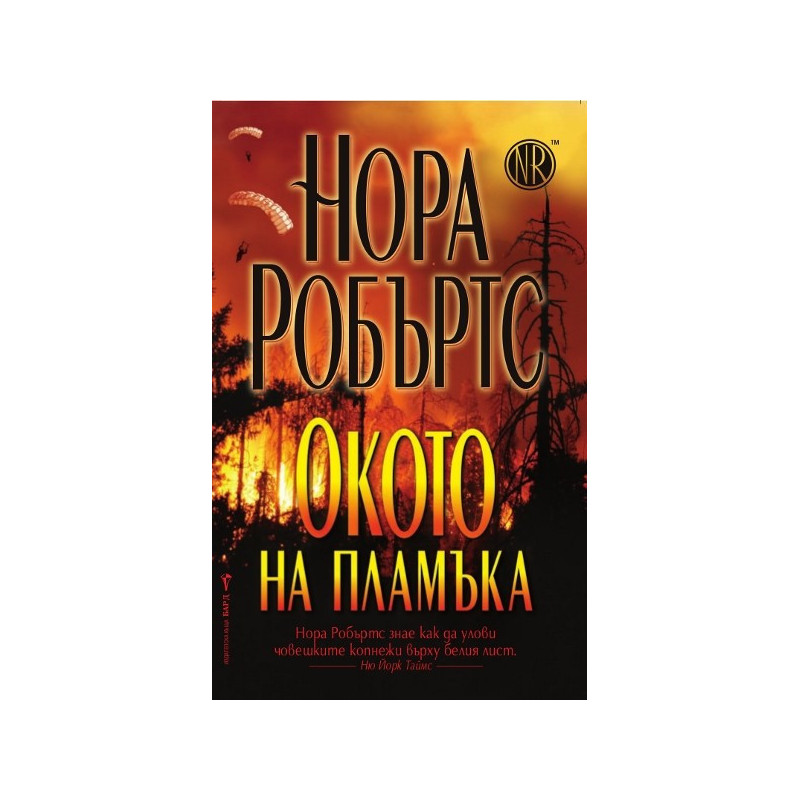Окото на пламъка