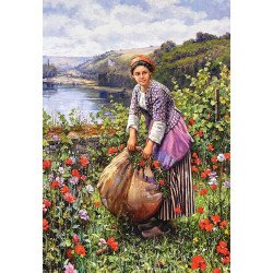 The Grass Cutter