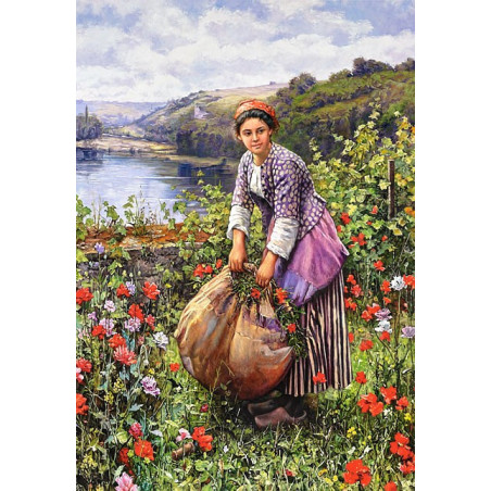 The Grass Cutter