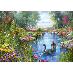 Black Swans