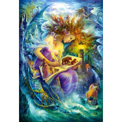 Fairy Book