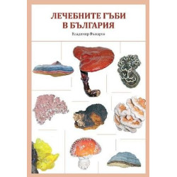 Лечебните гъби в България