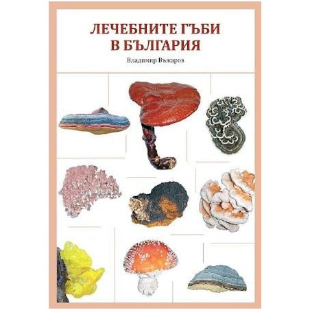Лечебните гъби в България