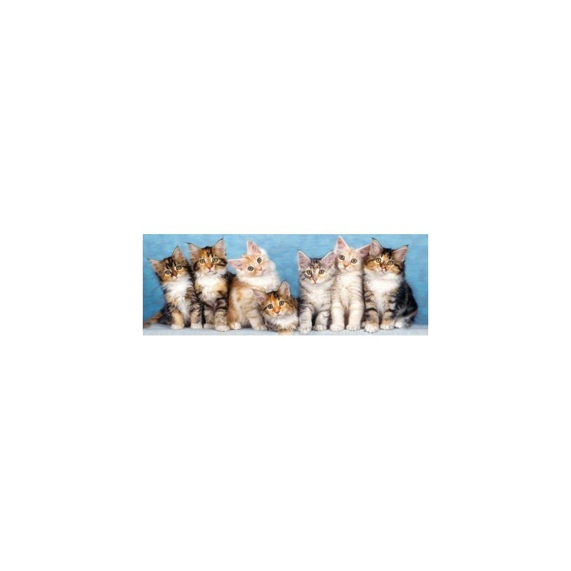 7 шарени котета