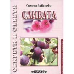 Сливата 