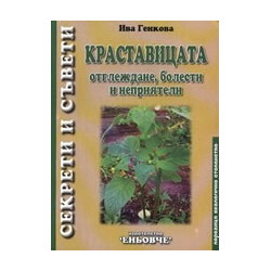 Краставицата 