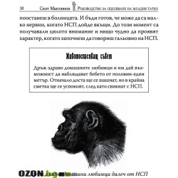 Ръководство за оцеляване на младия татко