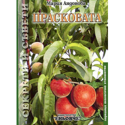 Прасковата 