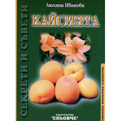 Кайсията 