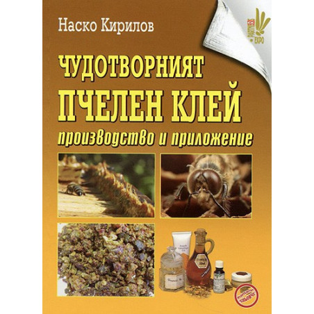 Чудотворният пчелен клей: производство и приложение 
