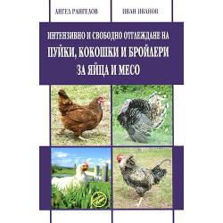 Интензивно и свободно отглеждане на пуйки, кокошки и бройлери за яйца и месо 