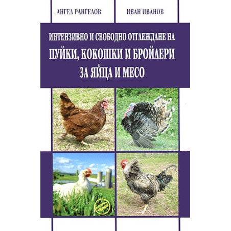 Интензивно и свободно отглеждане на пуйки, кокошки и бройлери за яйца и месо 
