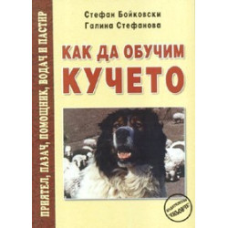 Как да обучим кучето  