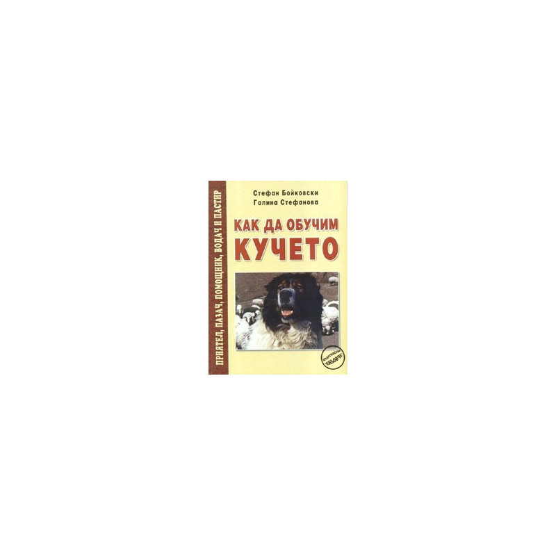Как да обучим кучето  