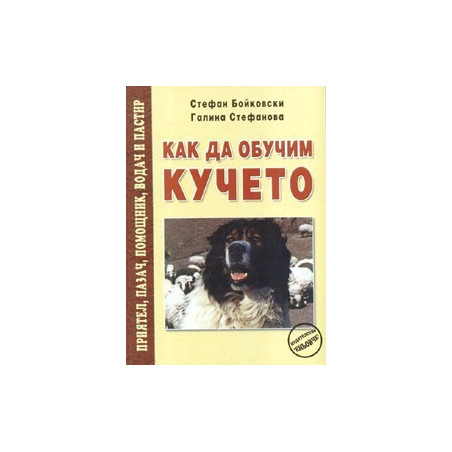 Как да обучим кучето  